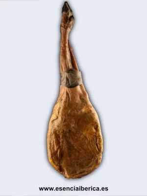 Paleta iberica 100
