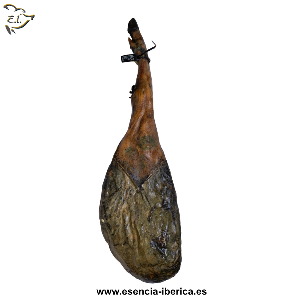 Jamón Bellota 100%