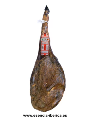 Jamón cebo 50% Ib